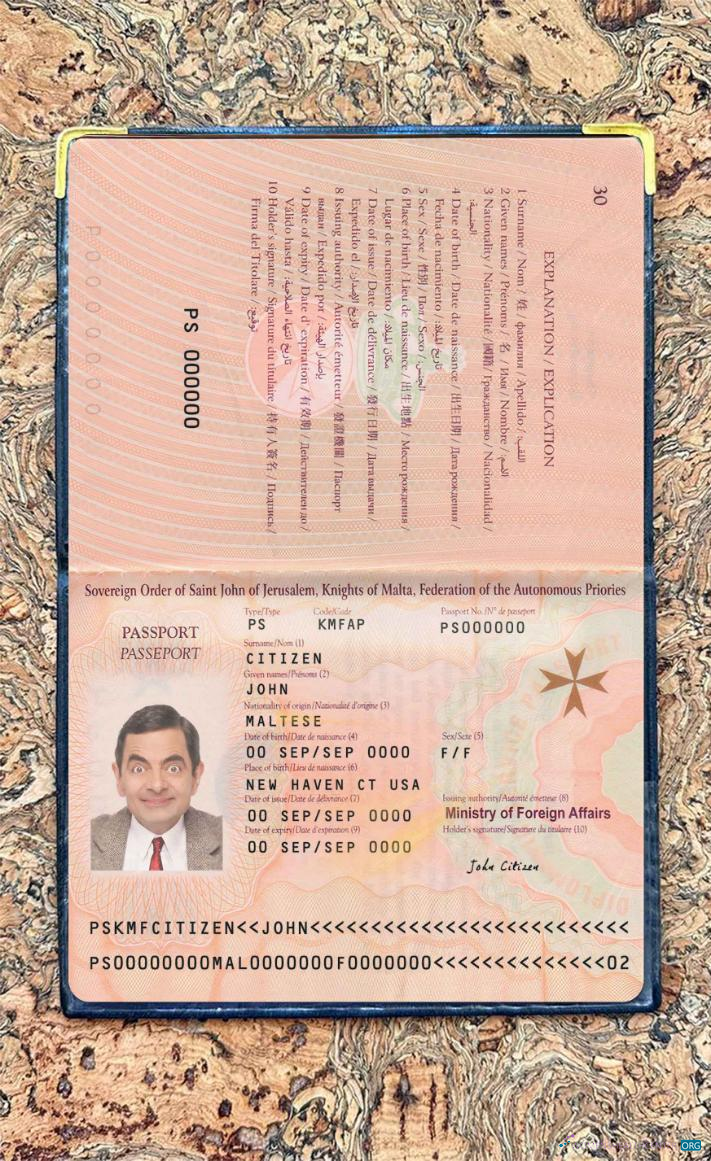 Download Malta passport 2019 present photo look Photoshop template
